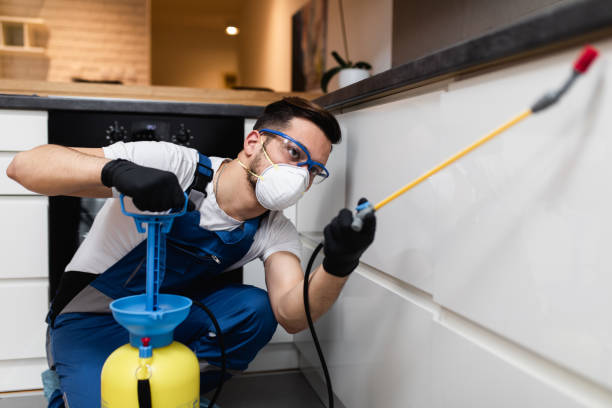 Best Affordable Pest Control Services  in Riverton, NJ
