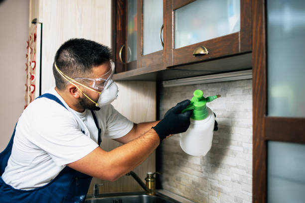 Best Termite Control Services  in Riverton, NJ