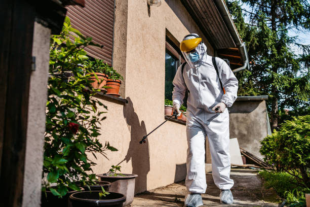 Reliable Riverton, NJ Pest Control Solutions