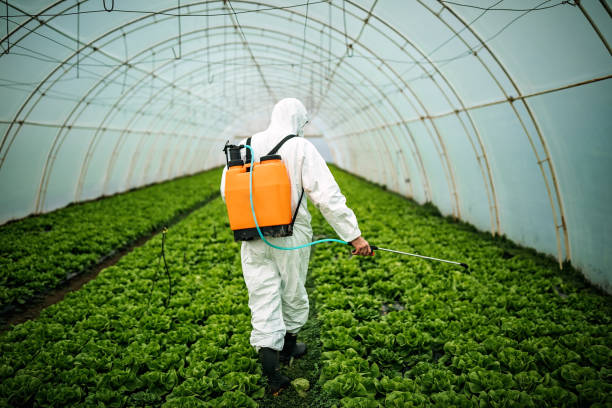 Best Best Pest Control Companies  in Riverton, NJ