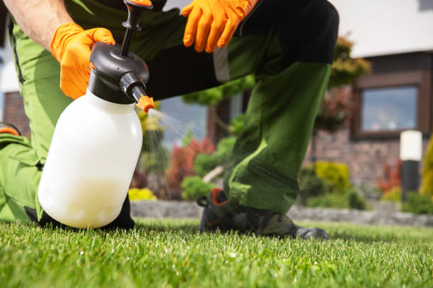 Best Spider Control Near Me  in Riverton, NJ