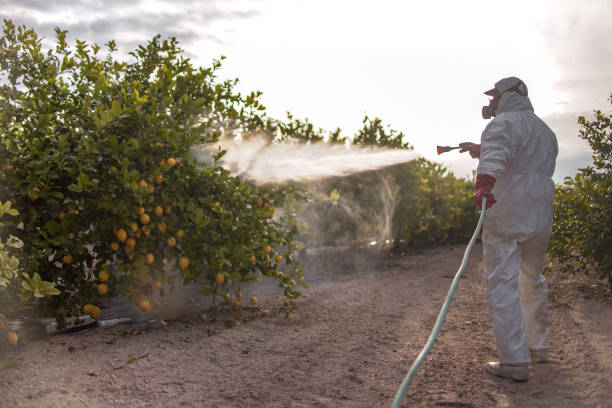 Best Emergency Pest Control  in Riverton, NJ