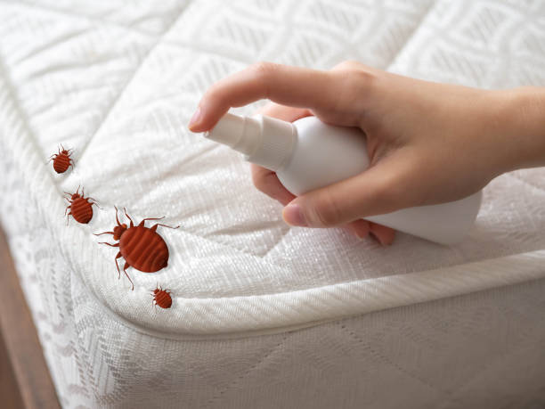 Best Pest Control Near Me  in Riverton, NJ