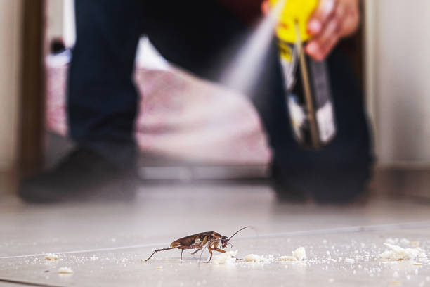 Best Pest Prevention Services  in Riverton, NJ