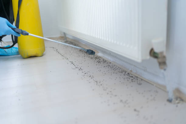 Best Commercial Pest Control Services  in Riverton, NJ