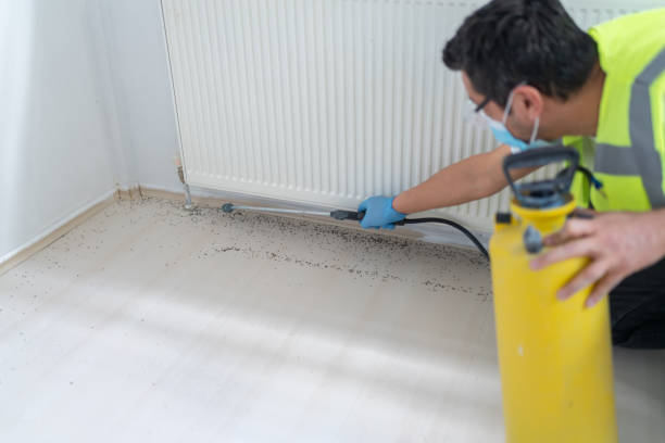 Best Pest Inspection Near Me  in Riverton, NJ