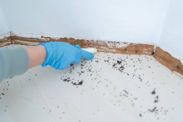Pest Prevention Services in Riverton, NJ