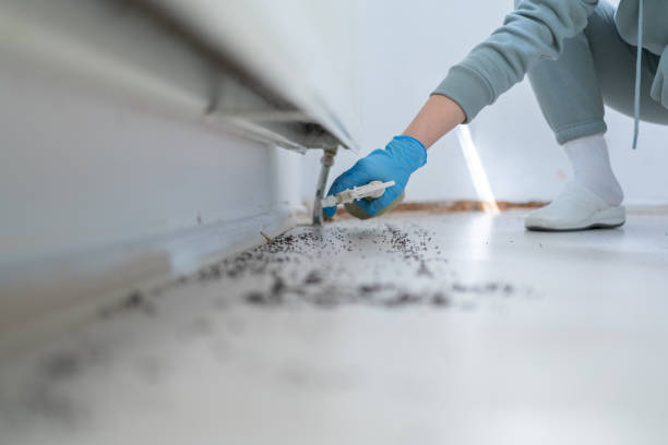 Best Commercial Pest Control Services  in Riverton, NJ