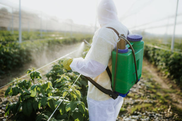 Best Local Pest Control Services  in Riverton, NJ